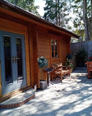 tranquil log cabin