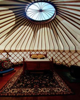 Beautiful Yurt with stunning South Downs views
