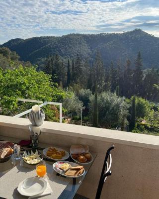 Olivella Bed&breakfast