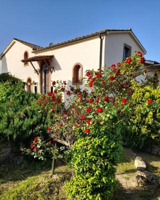 Borgo de' Muracci