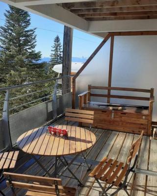 Appartement exceptionnel plein sud