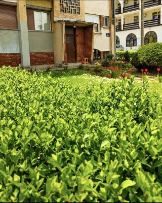 Apartman Mali Raj Rudnik II