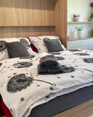 Apartmán na Zahradní