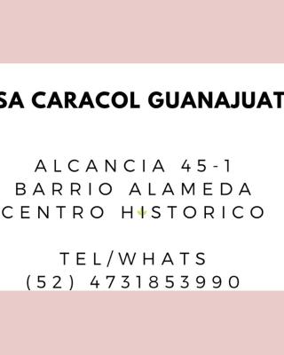 Casa Caracol Guanajuato