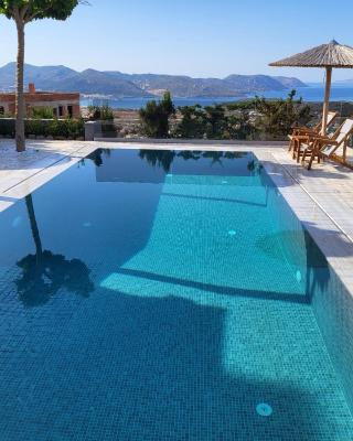 Stergiou Luxury Apartments with shared pool