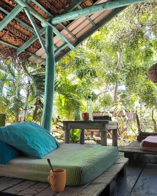 The Jungle House