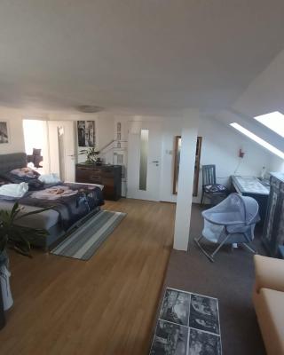 Podkrovní apartman Tereza