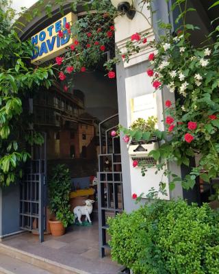 David Hotel - Ethno style