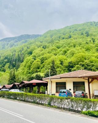 Family Hotel Gorski Kut