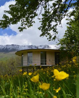 Nature Rooms cabin