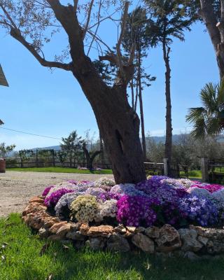 Casa Vacanza Capozzoli