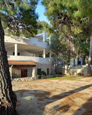 Apartments by the sea Ivan Dolac, Hvar - 21269