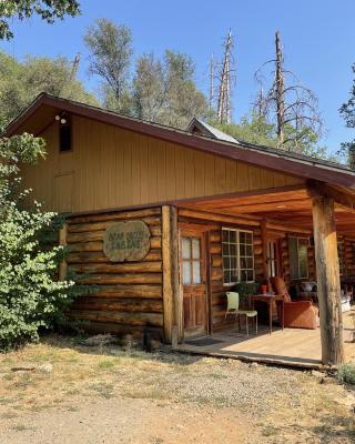 Bear Creek Cabins