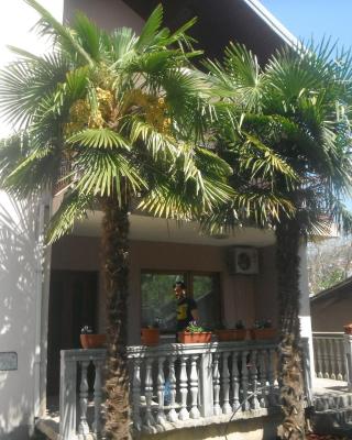 Apartman Avdić