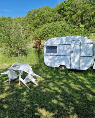 Camping La Fôret du Morvan Vintage caravan