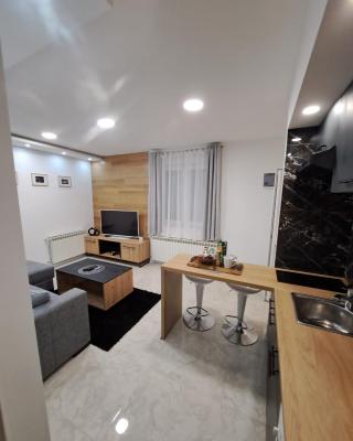 Apartman Pariz