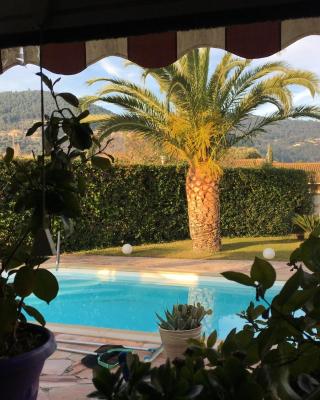 Mon petit coin de paradis