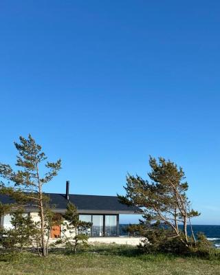 Seaside Rendezvous