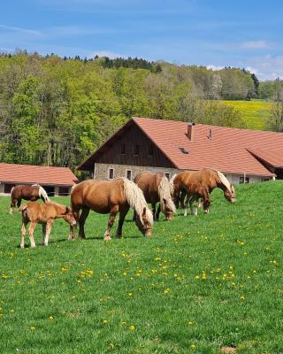 Gîte du cheval blanc