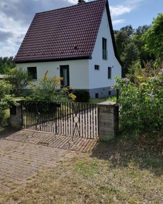 Mecklenburgische Seenplatte - FH mit optionalem Steg und Ruderboot