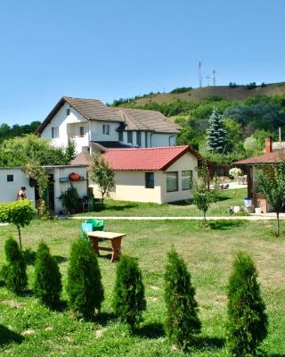 Camping La Foisor Turda