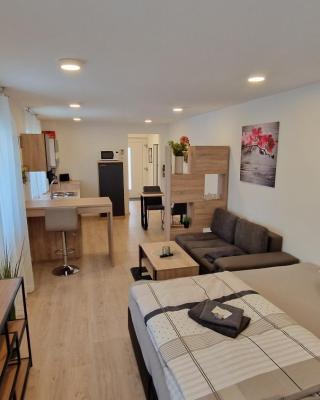 Appartment-Ferienwohnung mit Küche, Bad, kostenlos WLAN, Modern eingerichtet