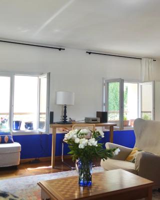 Pommier bleu ! Netflix Disney Prime vidéo