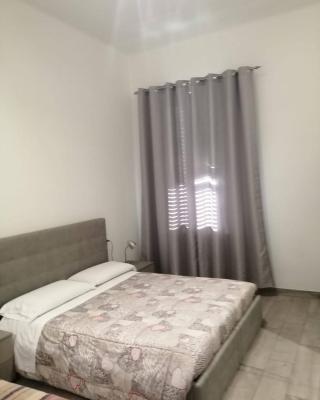 AFFITTACAMERE S.ORSOLA - MALPIGHI