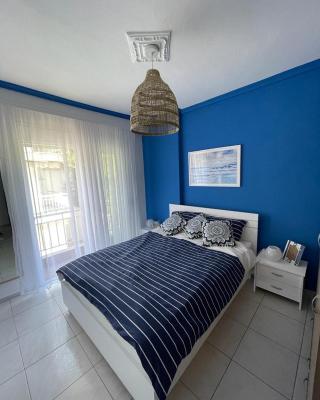 Blue Shell Apartment