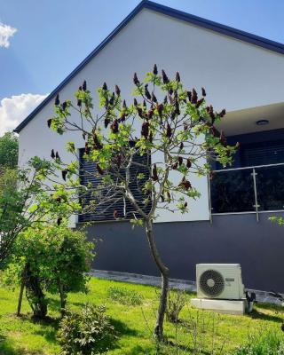 House Under The Maple Tree