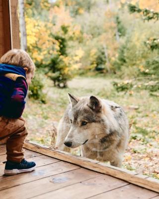 Parc Omega