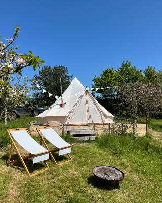 Bowhayes Farm - Camping & Glamping - Bell Tents - Cider Orchard