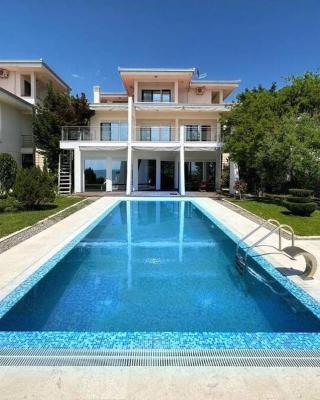 Dream House