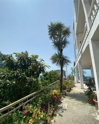 Temo's guest house in Kvariati