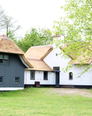 Villa de Beyaerd