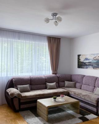 Apartment Varezić