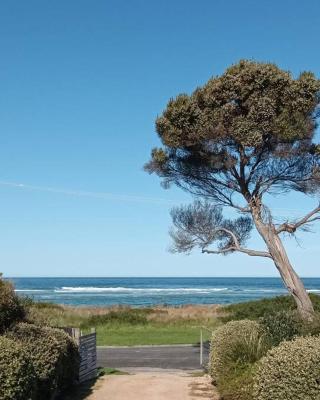 The Dunes - King Studio - 50m from Scamander Beach