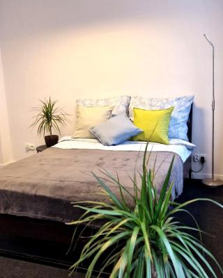 Przytulny prywatny pokój w ścisłym centrum Warszawy Pokój 4