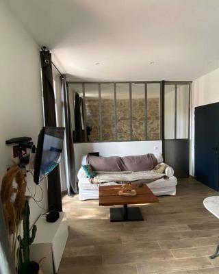 Jolie appartement en plein centre du village