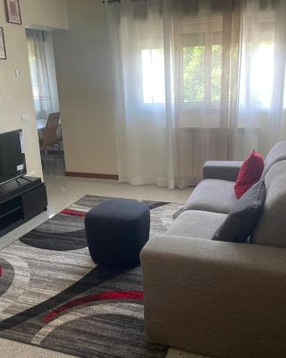 White Smile Apartment