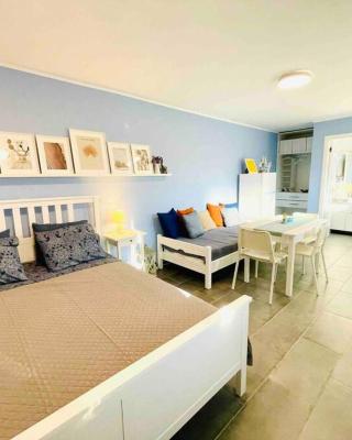 Cozy and Newly renovated apartment in Gavrio
