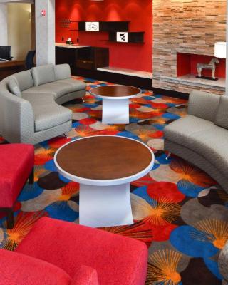 Fairfield Inn and Suites by Marriott North Spring