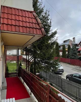 Constantinescu A