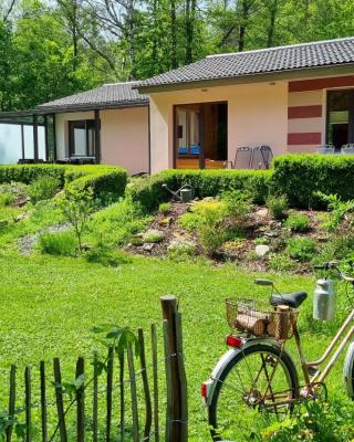 Ferienhaus Rehblick - direkt in der Natur, mit Lesezimmer und zwei Terrassen