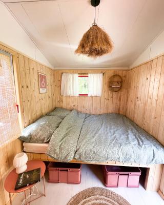Camping Rogowo