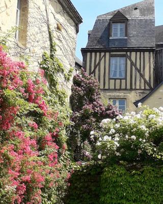 Petite Maison Romantique Coeur Historique Plantagenet, au calme