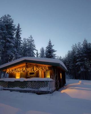 Log Cabin, forrest , sea view, north Sweden.