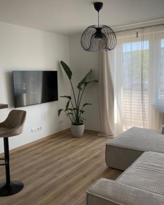 Neue stilvolle 2-Zimmer Wohnung im Zentrum von Wolfsburg