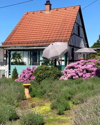 Ferienhaus mit Sauna, Wintergarten und Terrasse im schönen Hochtaunus