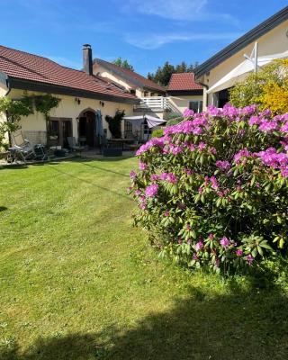 Chambres d’hôtes plateau des mille étangs